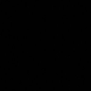 Meet your Posher, Gwen